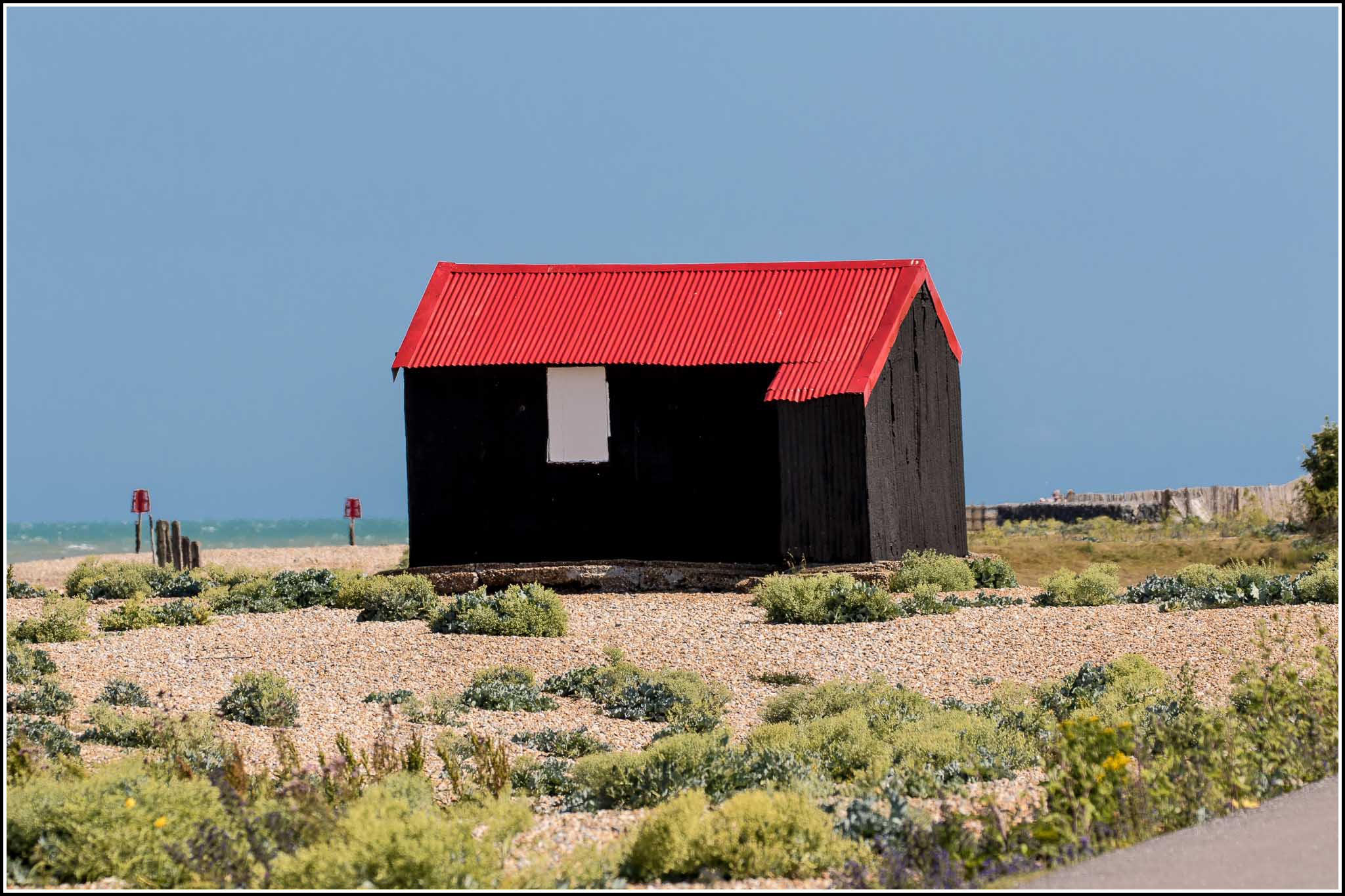 Rye Harbour & Nature Reserve