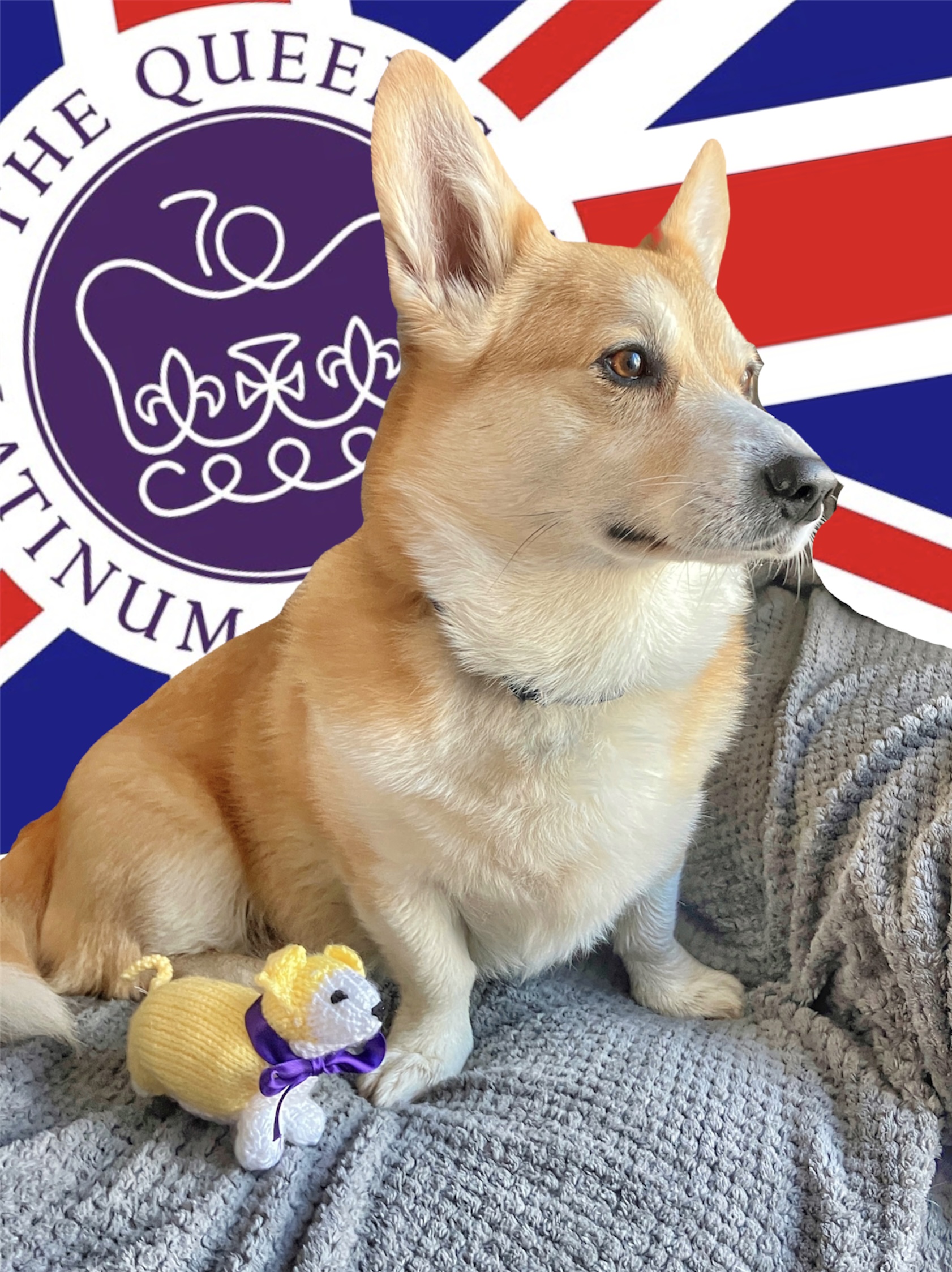 The many adventures of the Queen’s corgi’s