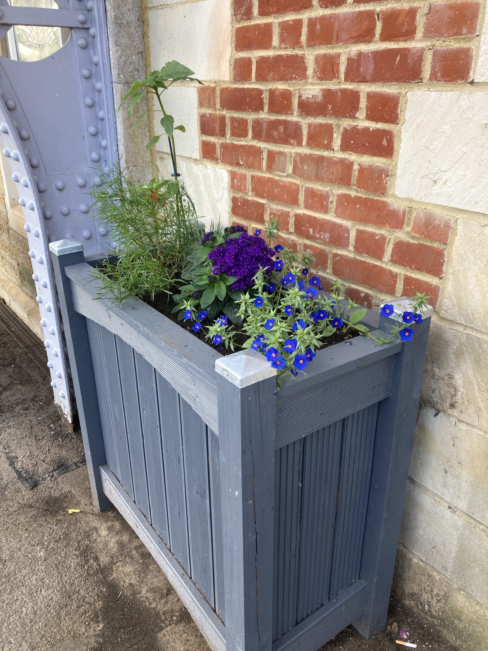 Colour added at Etchingham