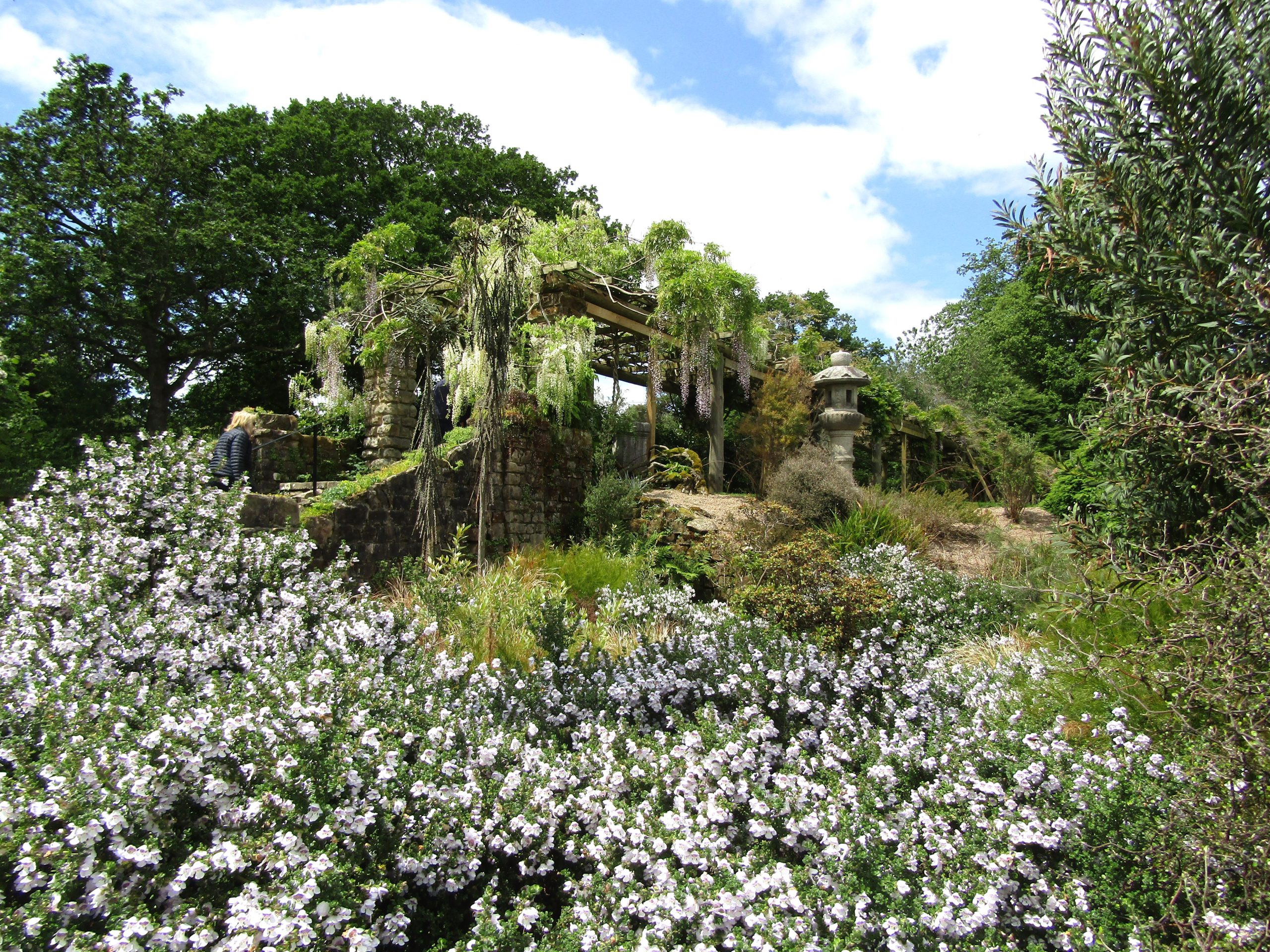 Nymans Gardens