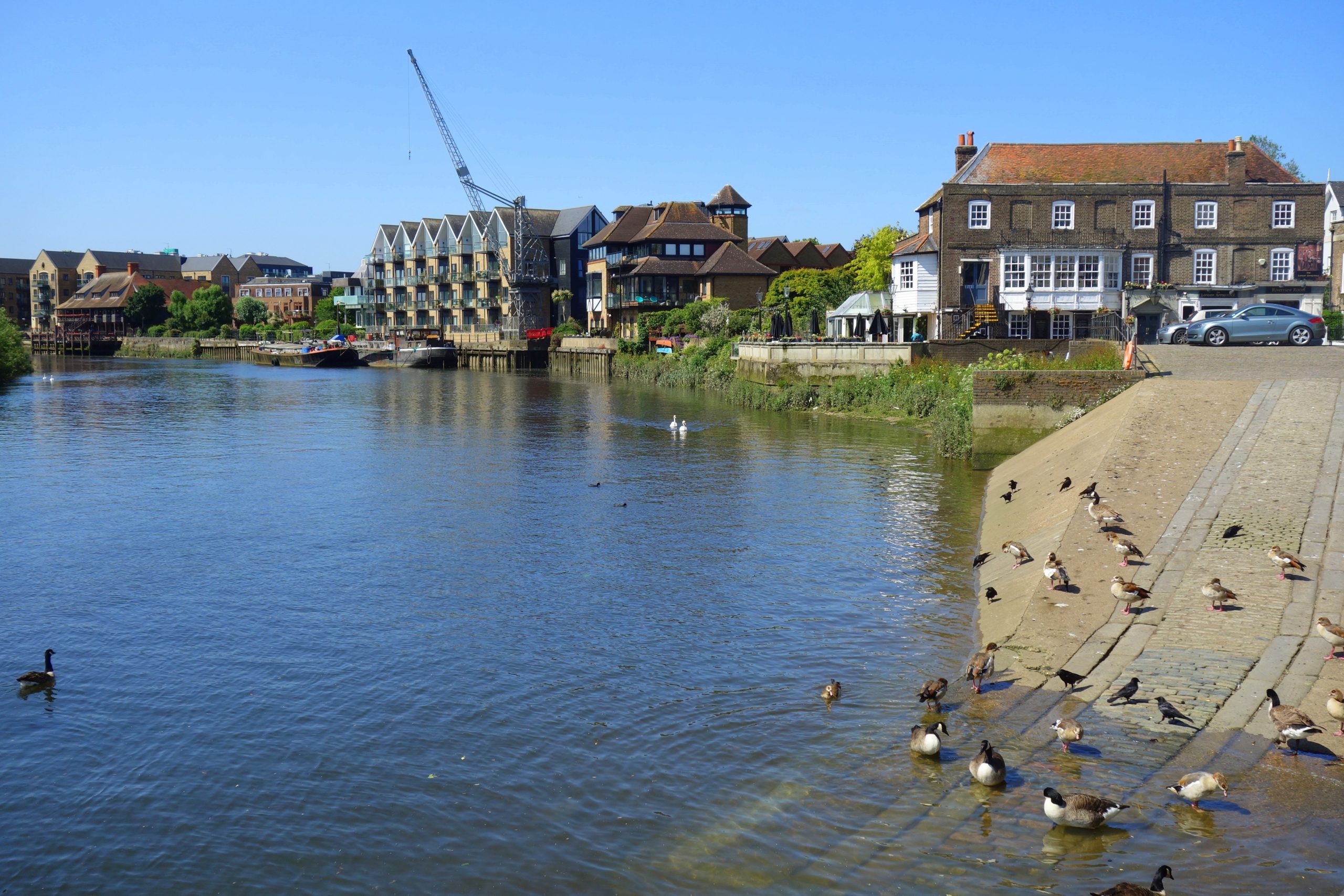 The Isleworth Appreciation Society