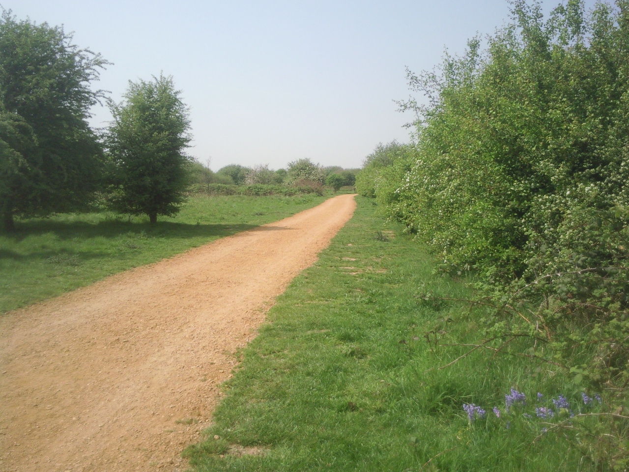 Hounslow Heath